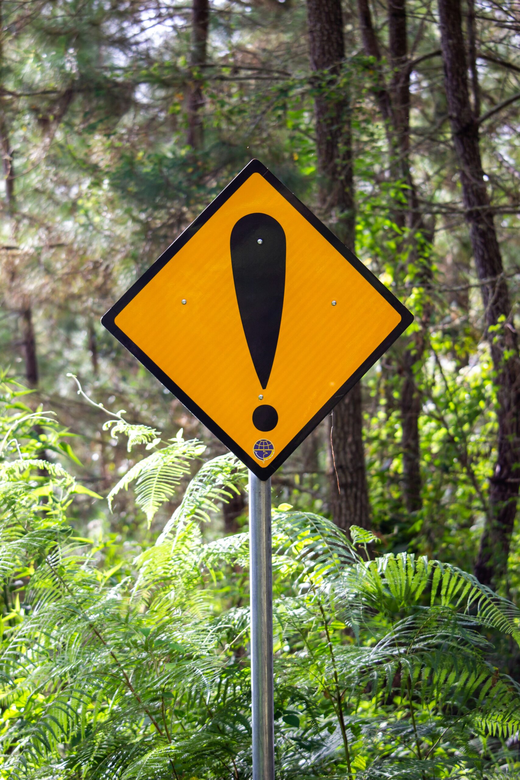 yellow sign in the wood